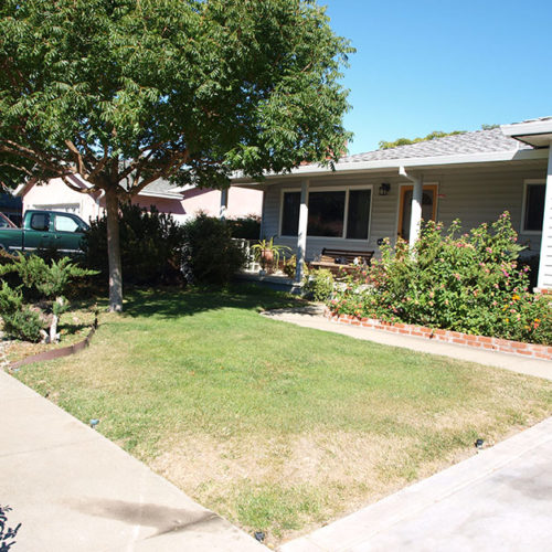 Before Lawn Replacement 9