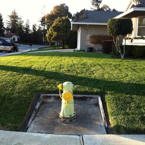 Before Lawn Replacement 12