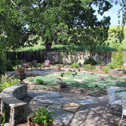 After Lawn Replacement 11