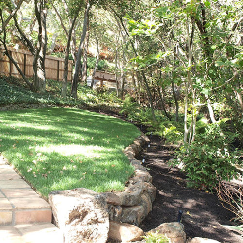 Before Lawn Replacement 13