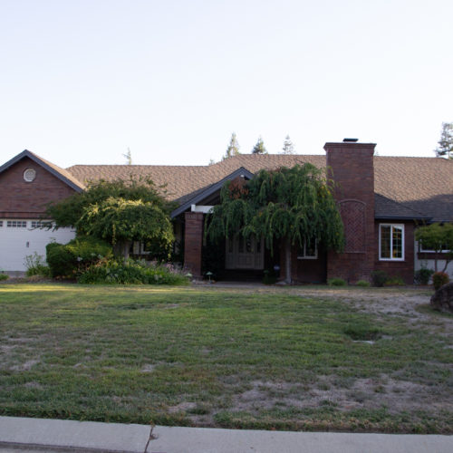 Before Lawn Replacement 14