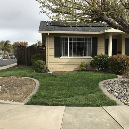 Before Lawn Replacement 17