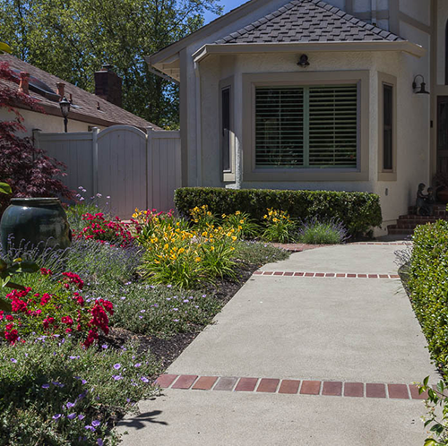 After Lawn Replacement 23