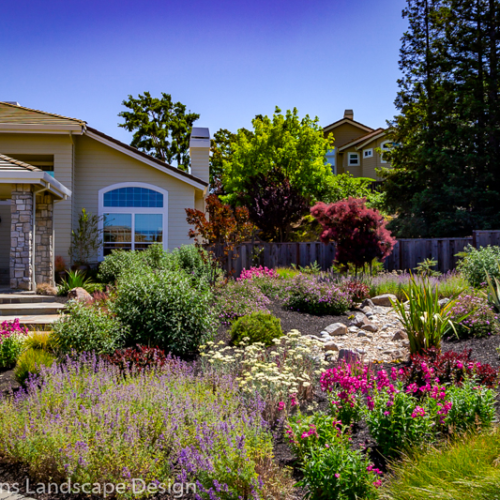 After Lawn Replacement 1