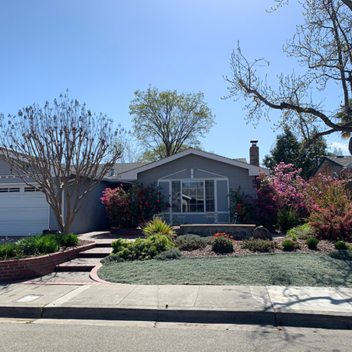 After Lawn Replacement 8