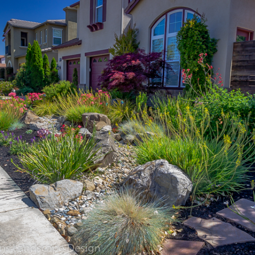 After Lawn Replacement 2