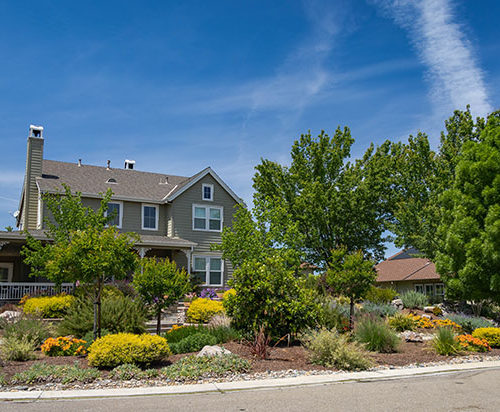 After Lawn Replacement 4