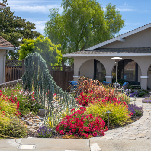 After Lawn Replacement 7