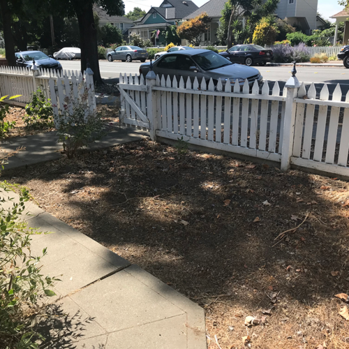 Before Lawn Replacement 24