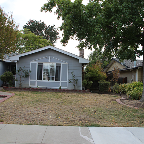 Before Lawn Replacement 8