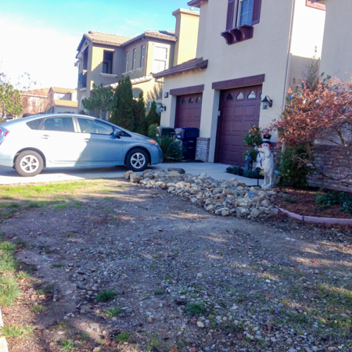 Before Lawn Replacement 2