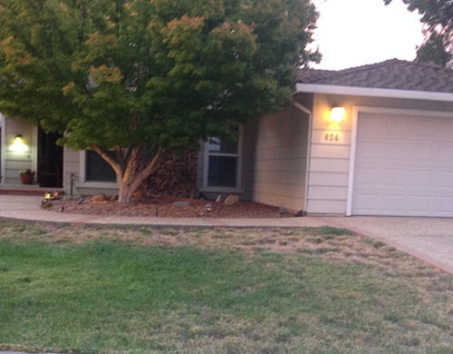 Before Lawn Replacement 18