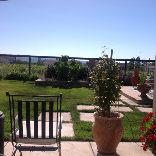 Before Lawn Replacement 3