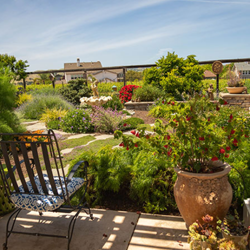 After Lawn Replacement 3