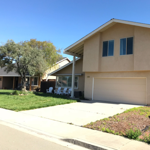 Before Lawn Replacement 6