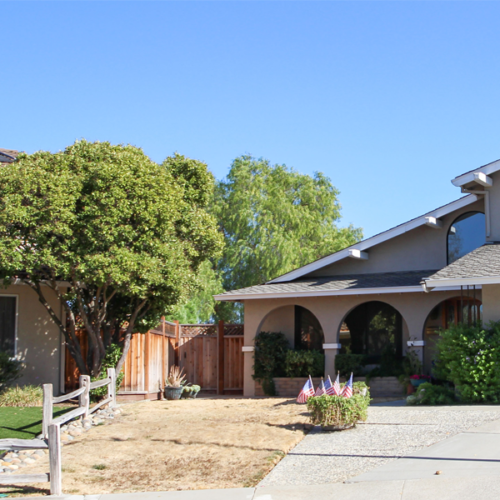 Before Lawn Replacement 7