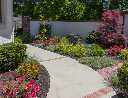 After Lawn Replacement 22