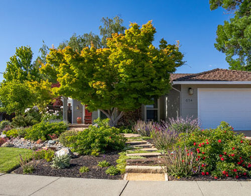 After Lawn Replacement 18