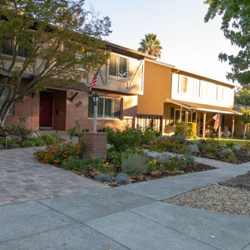 After Lawn Replacement 21