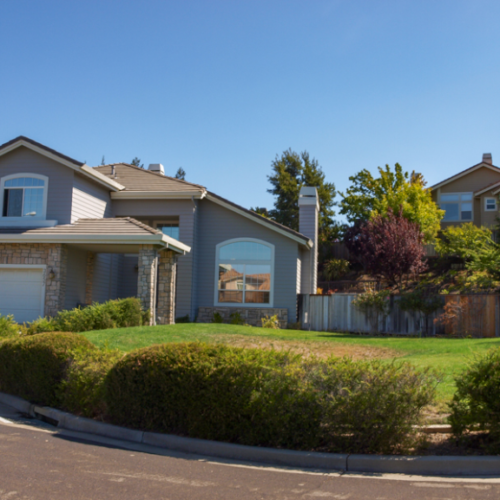 Before Lawn Replacement 1