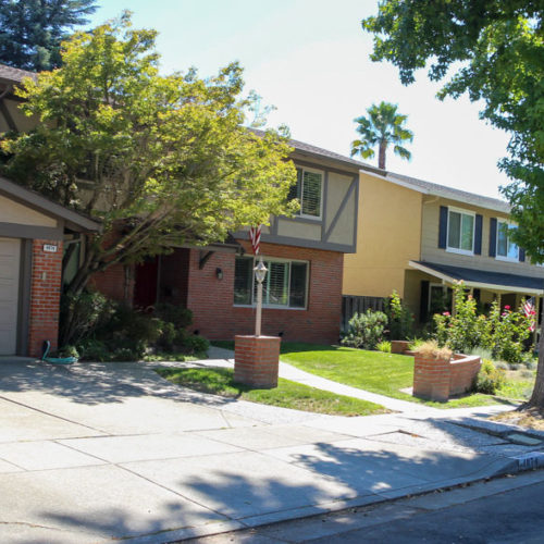 Before Lawn Replacement 21