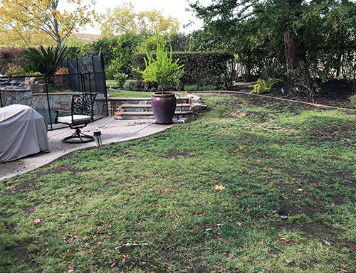 Before Lawn Replacement 25