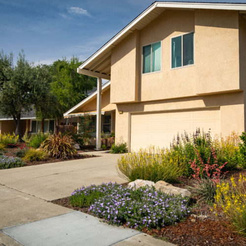 After Lawn Replacement 6