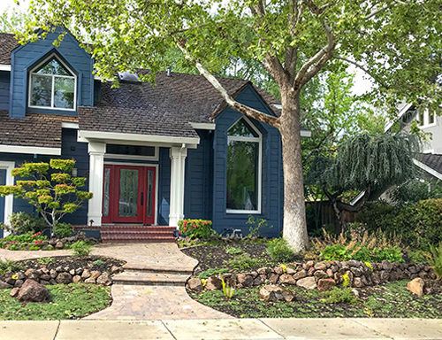 After Lawn Replacement 26