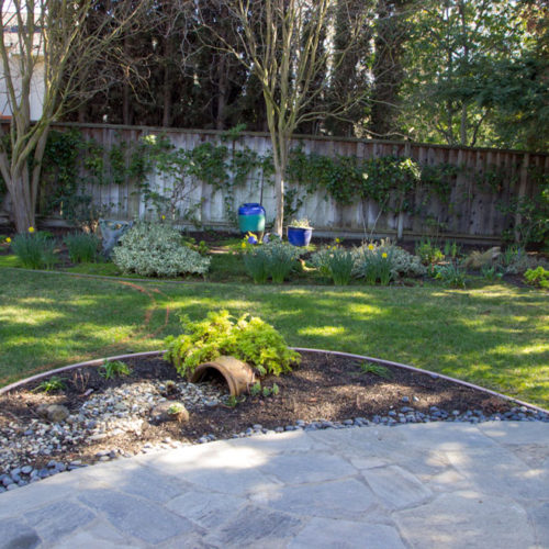 Before Lawn Replacement 19