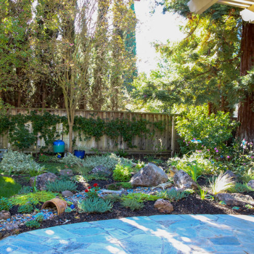 After Lawn Replacement 19