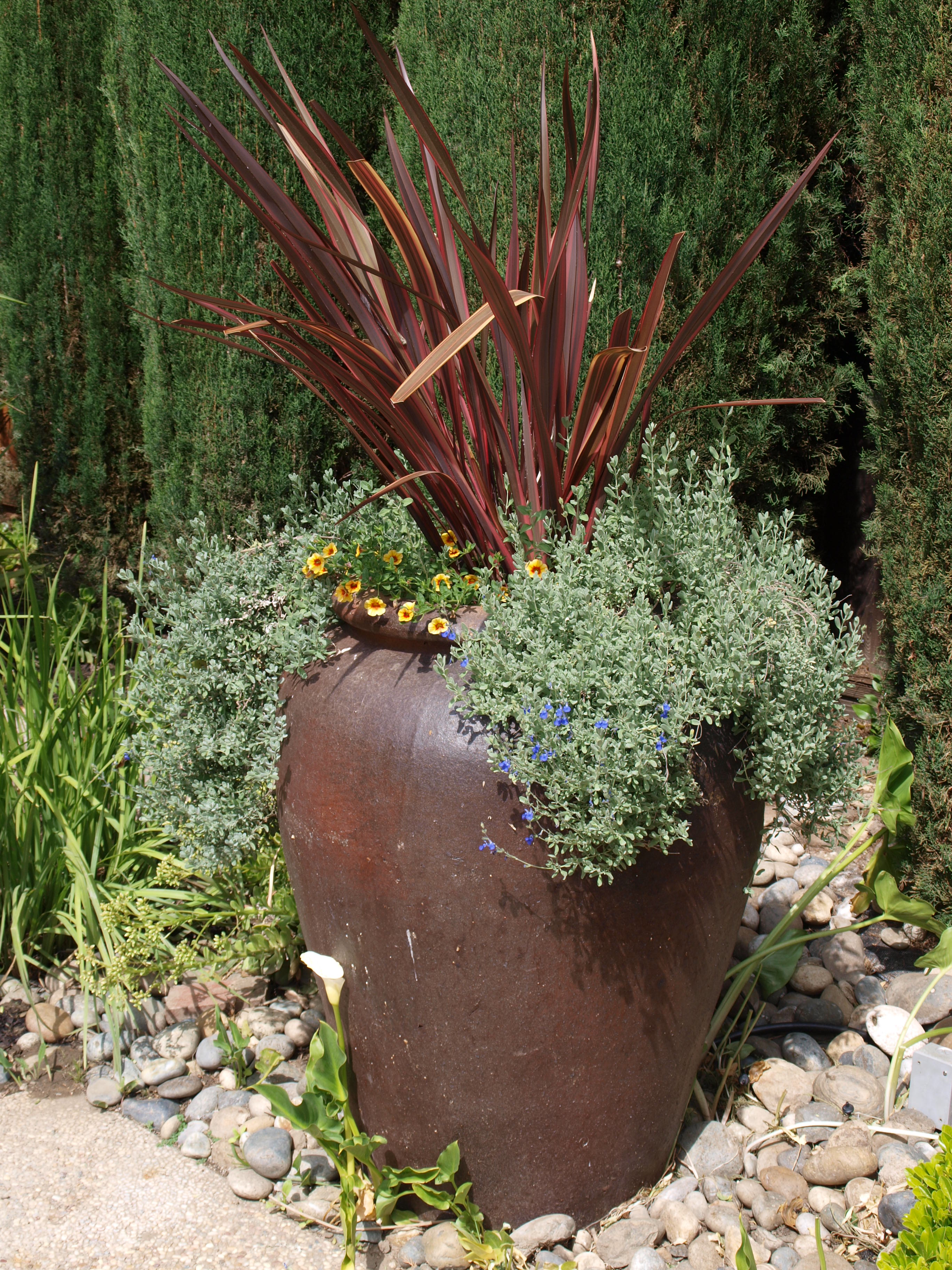 Large Bronze Pot | Outer Visions Landscape Design