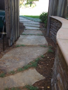 Oyster Thistle Flagstone Path