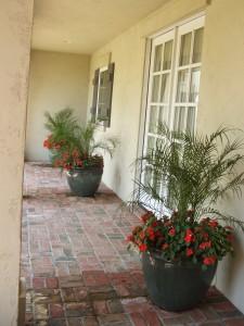 Pots of Veranda
